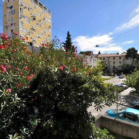 Sunny Center Appartement