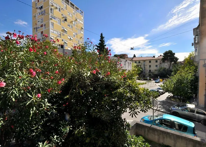 Sunny Center Daire